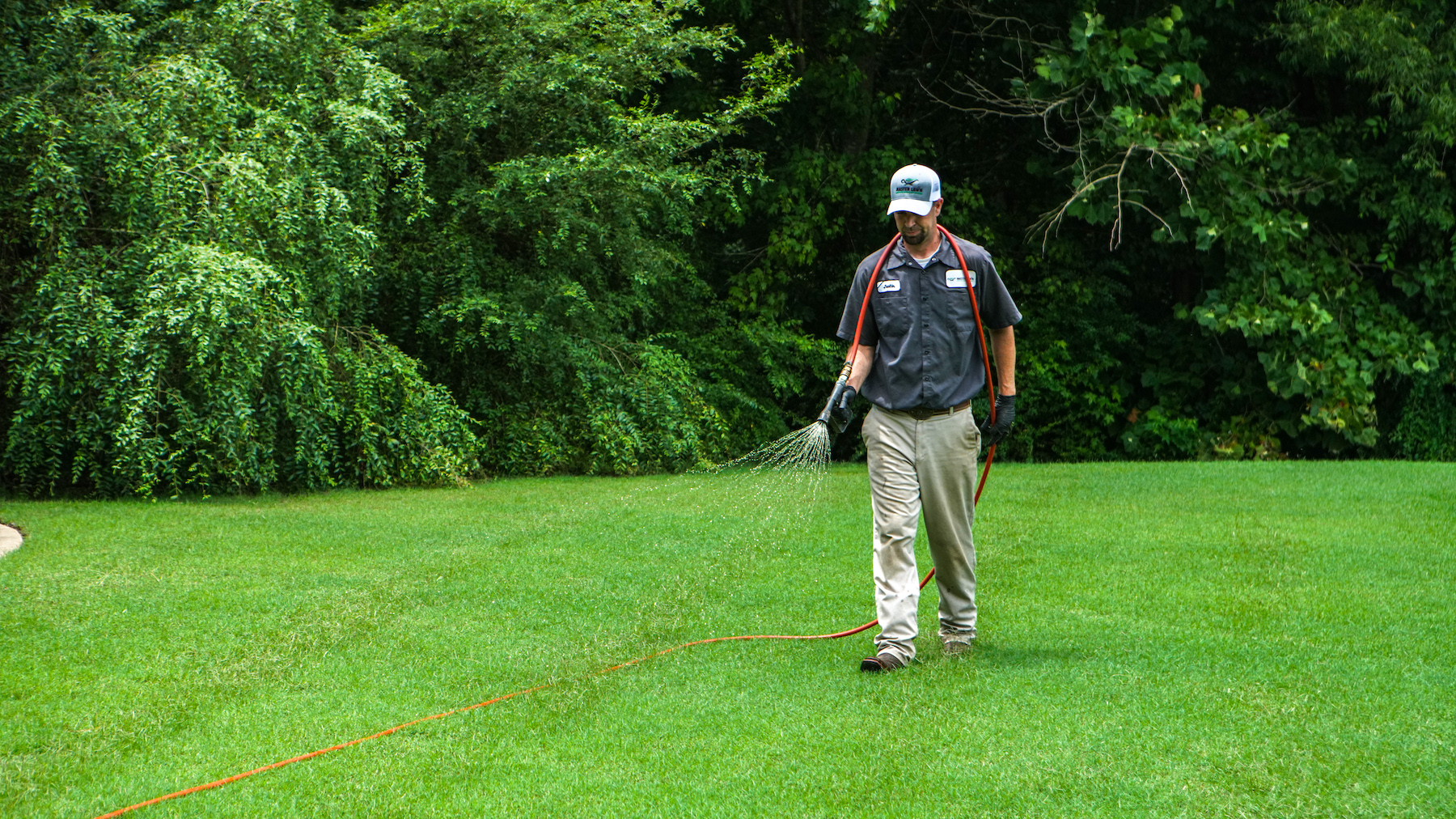 Lawn spraying new arrivals